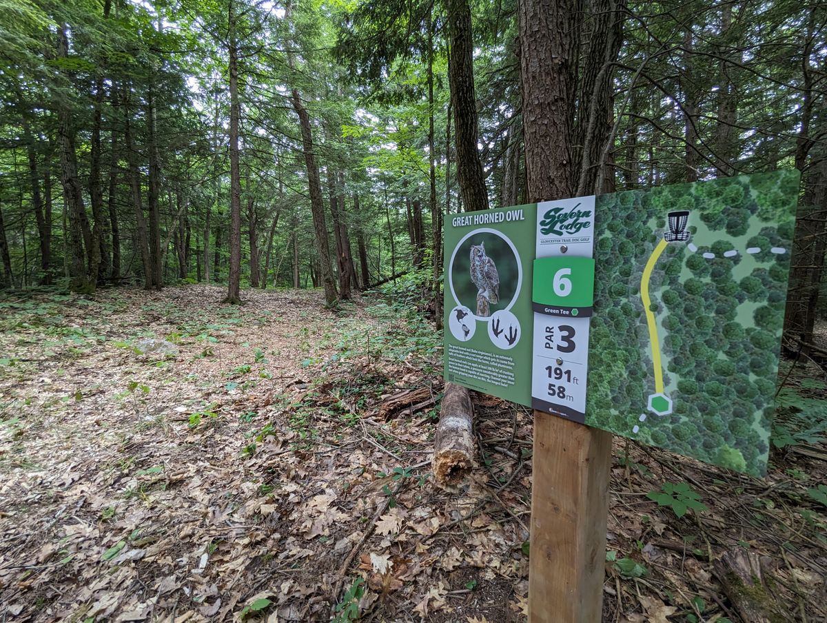 #6 Tee