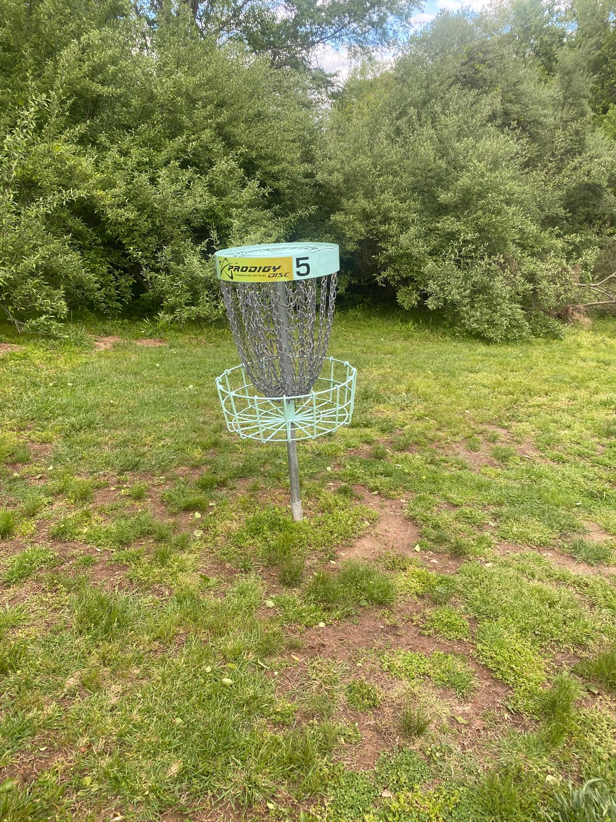 Basket 5