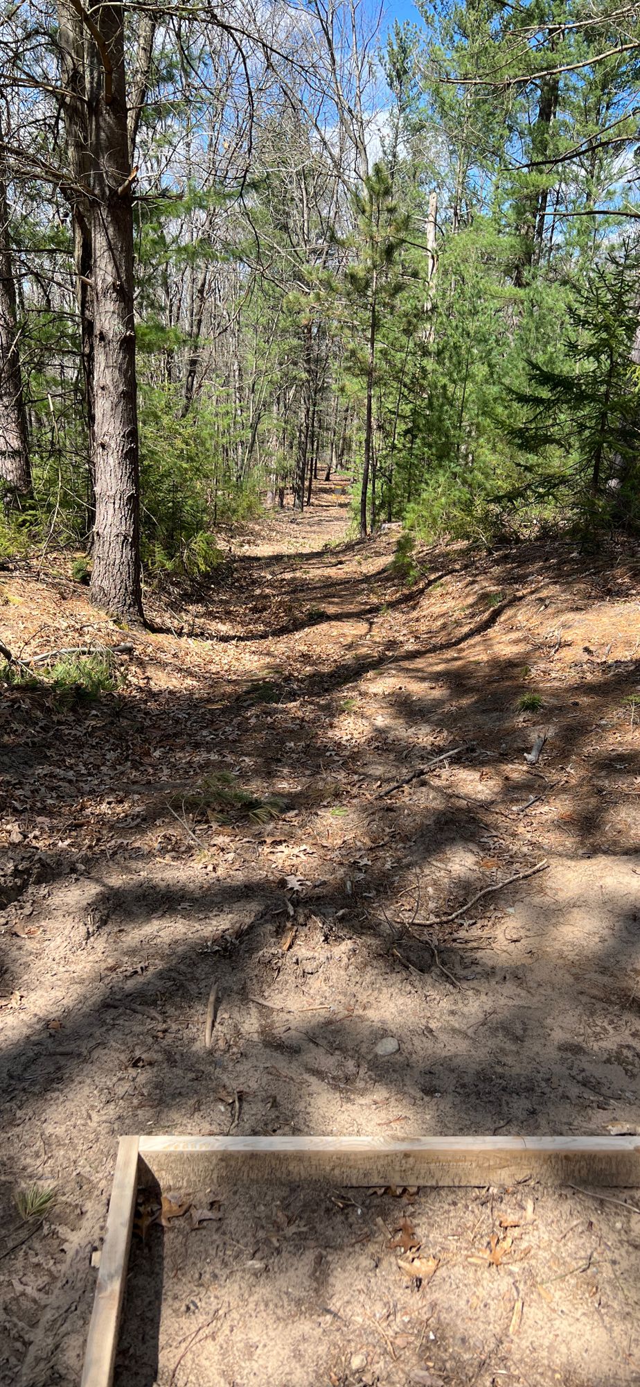 Hole 6 from tee