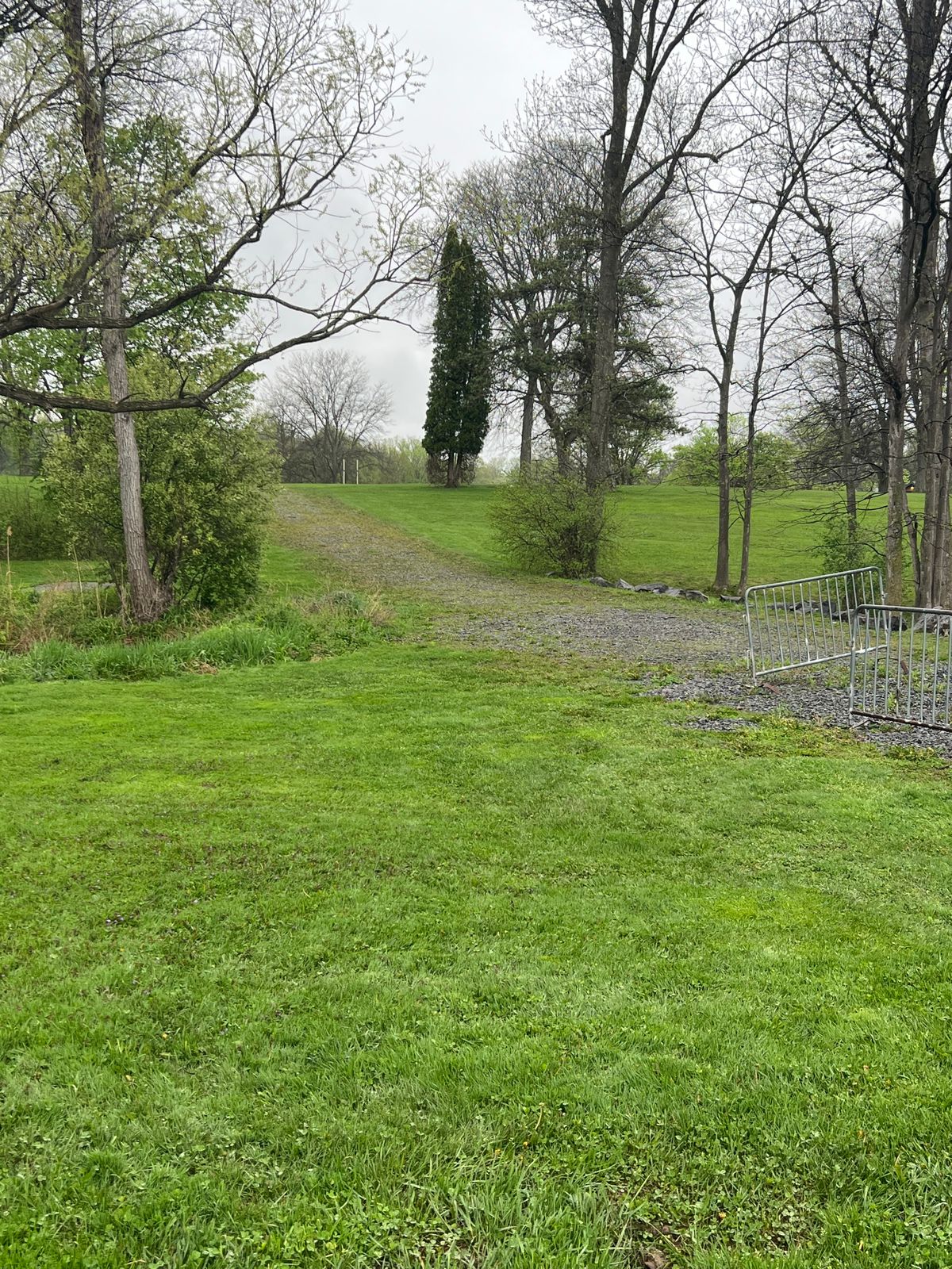 Tee 1