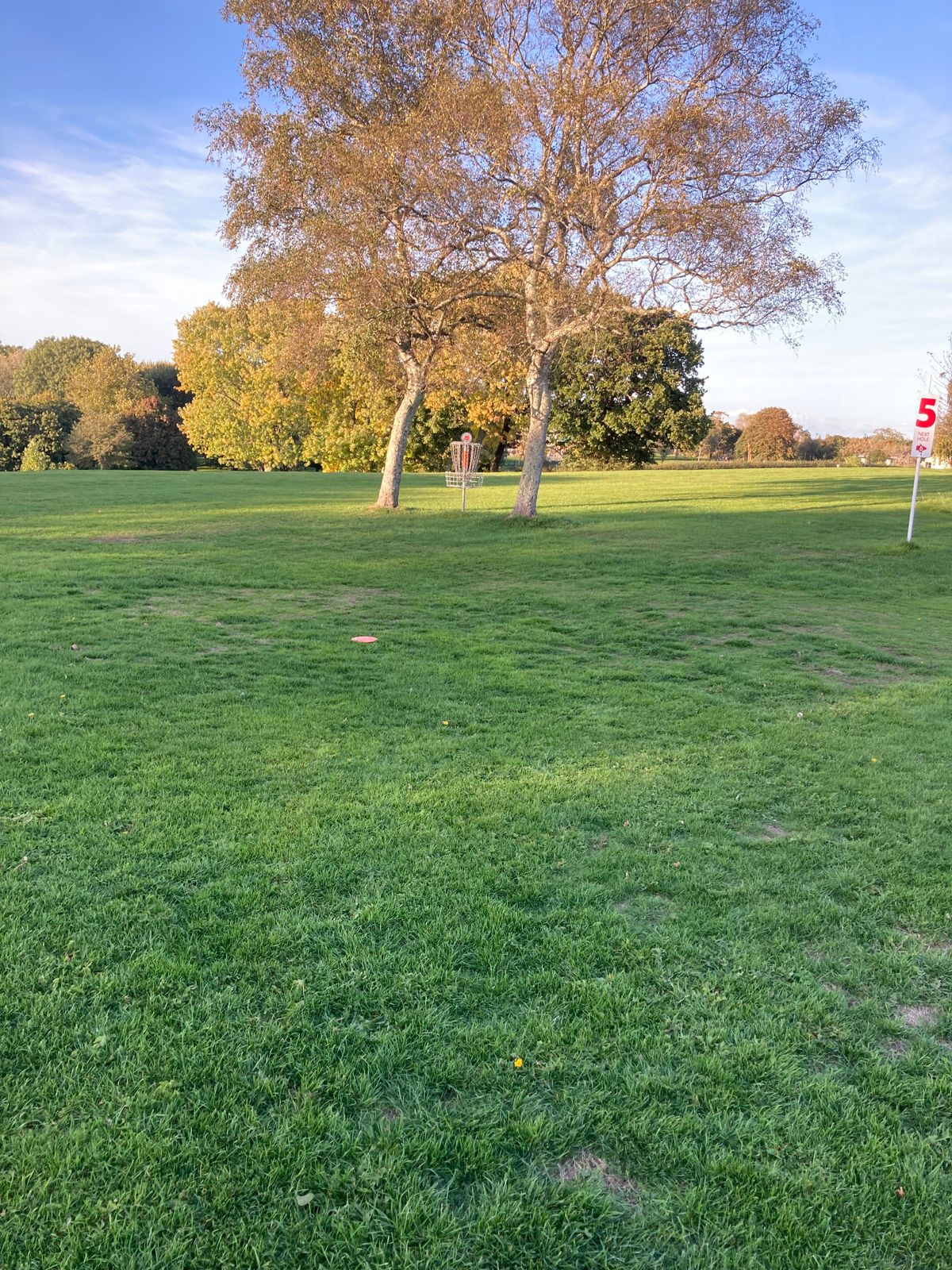 Hole 5 Basket