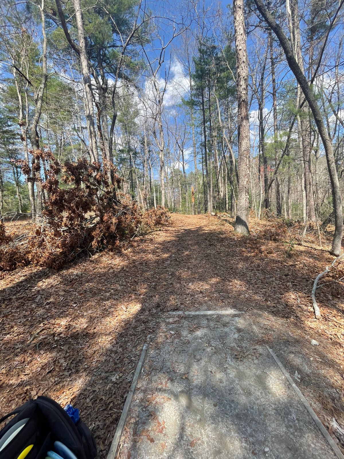 Hole 4 tee pad. Basket is up the hill to the left a little