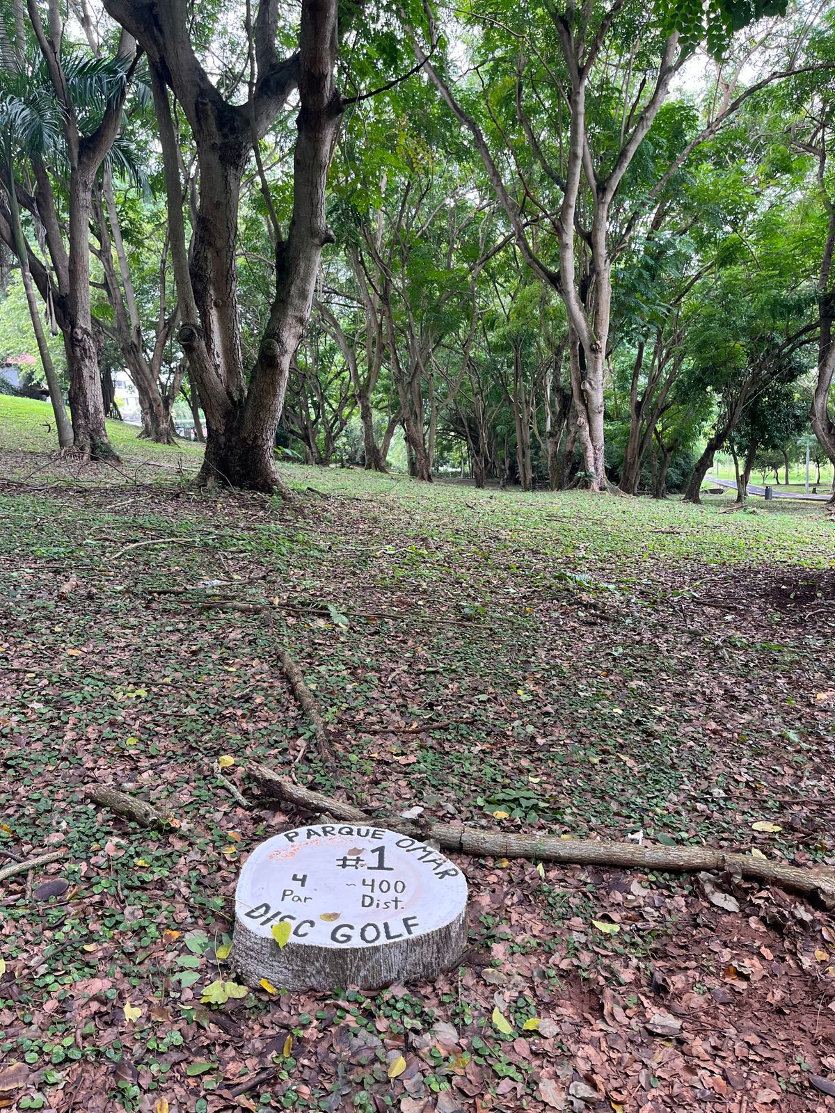 Hole 1 - Par 4