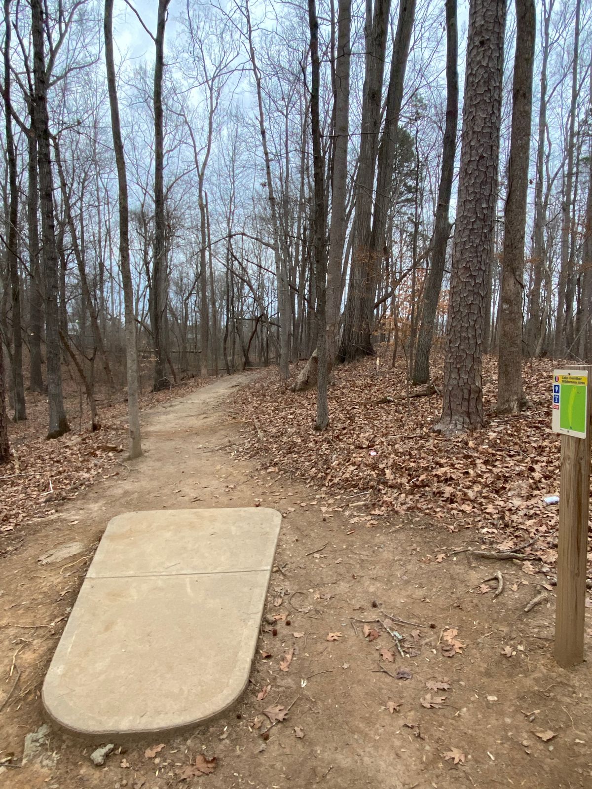 Hole 9