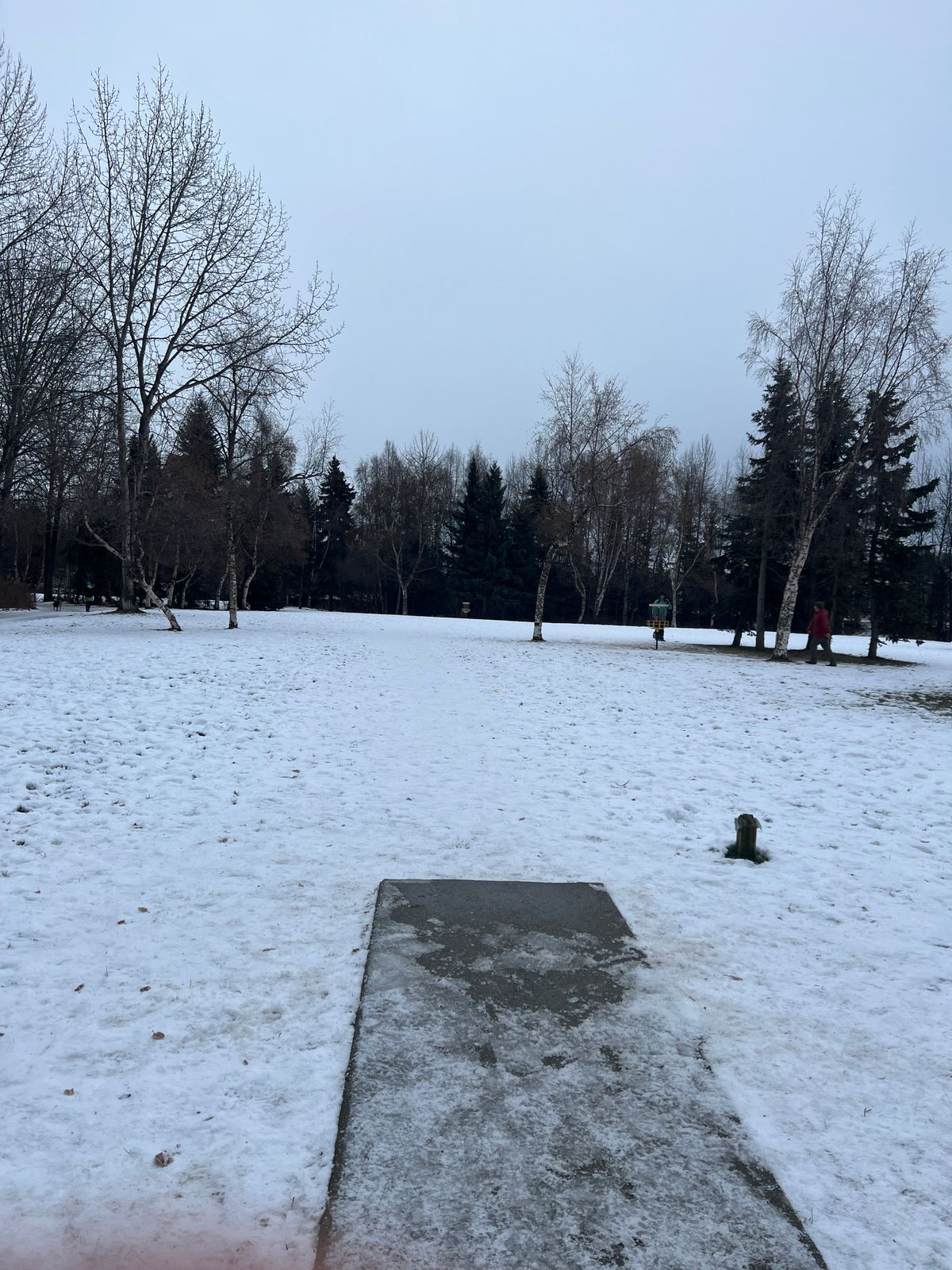 Hole 8