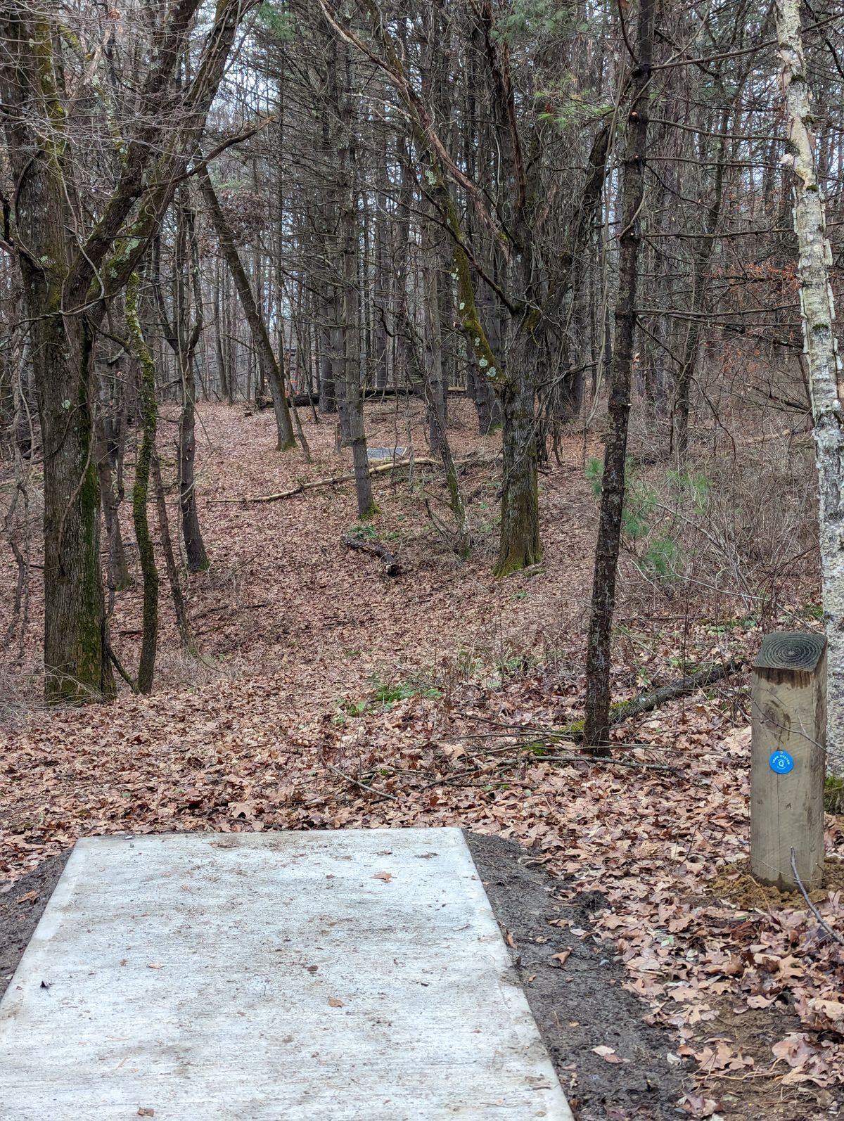 Hole 5 Blue tee