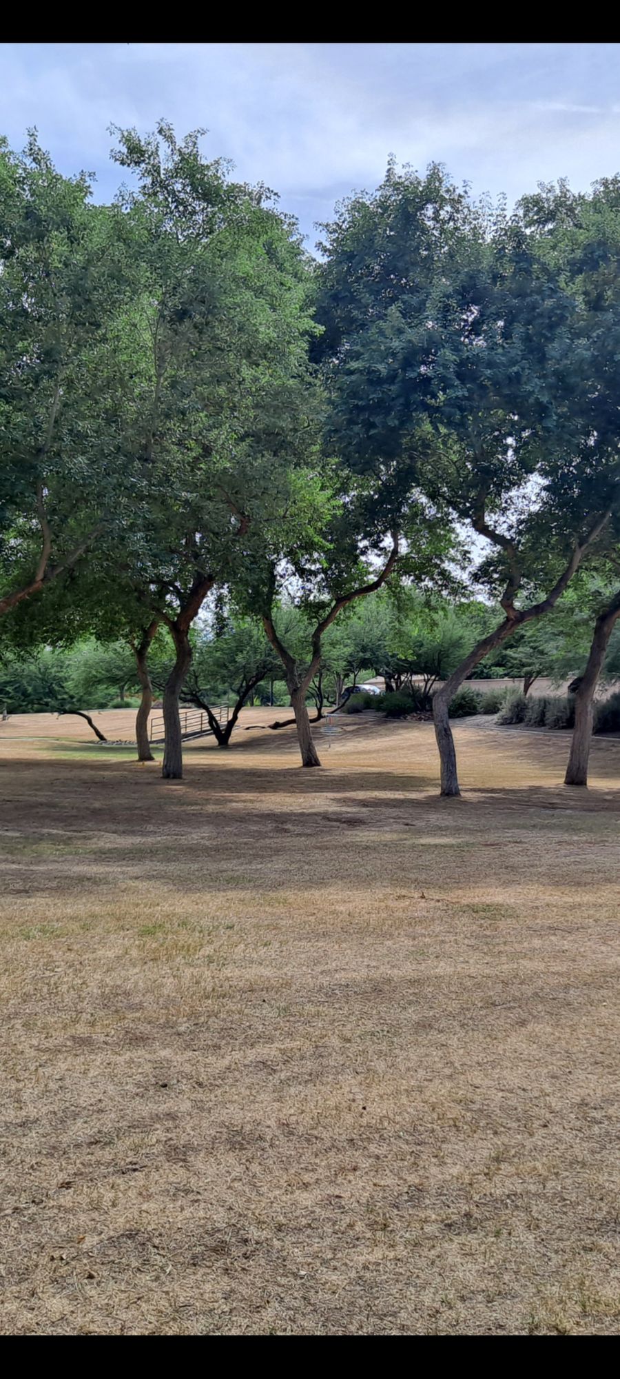 Hole one basket