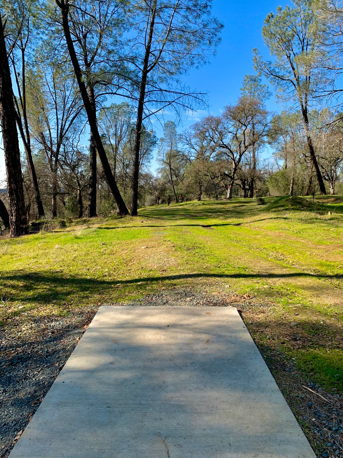 Hole 1, Teepad.