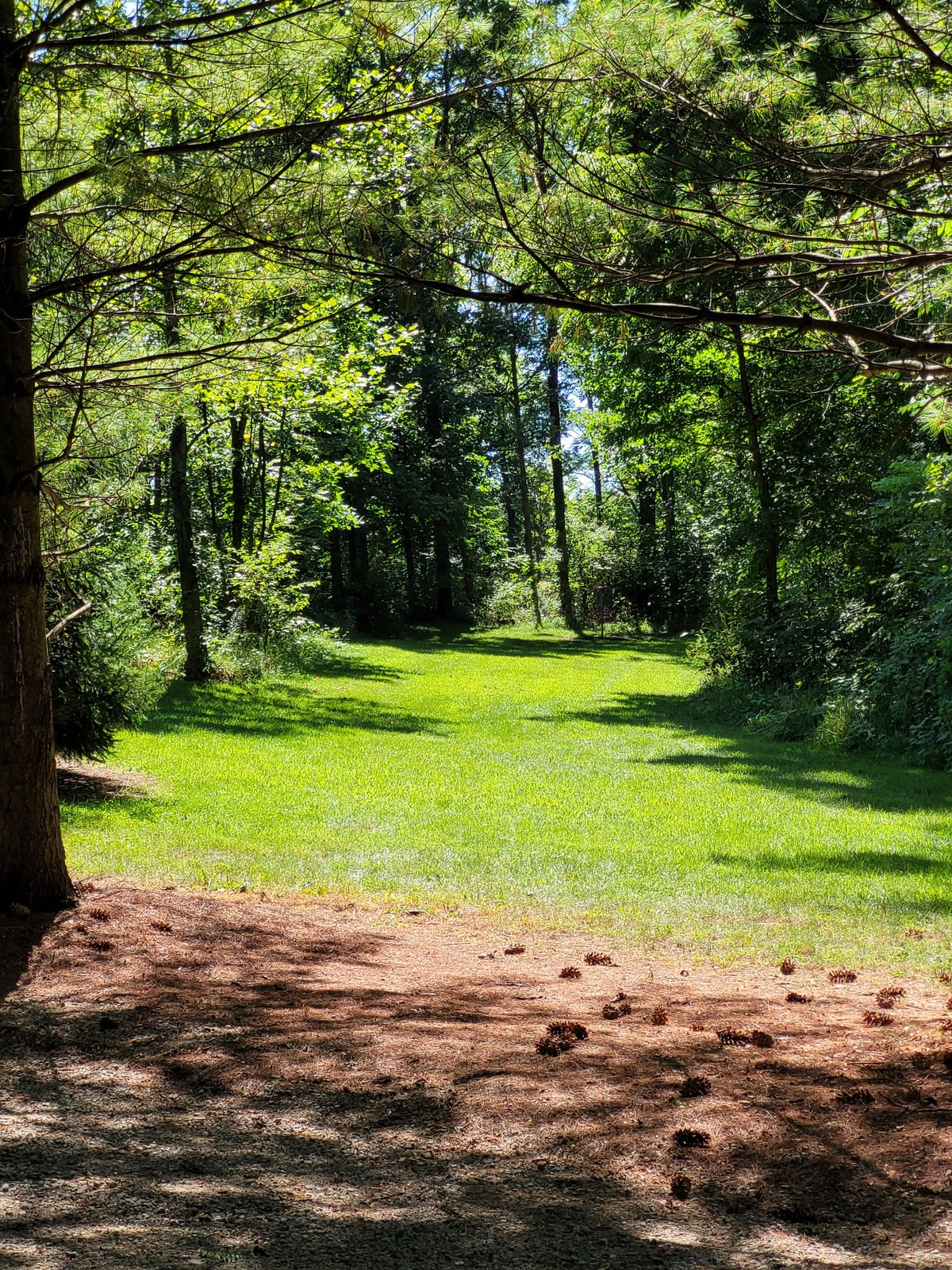 Hole 13