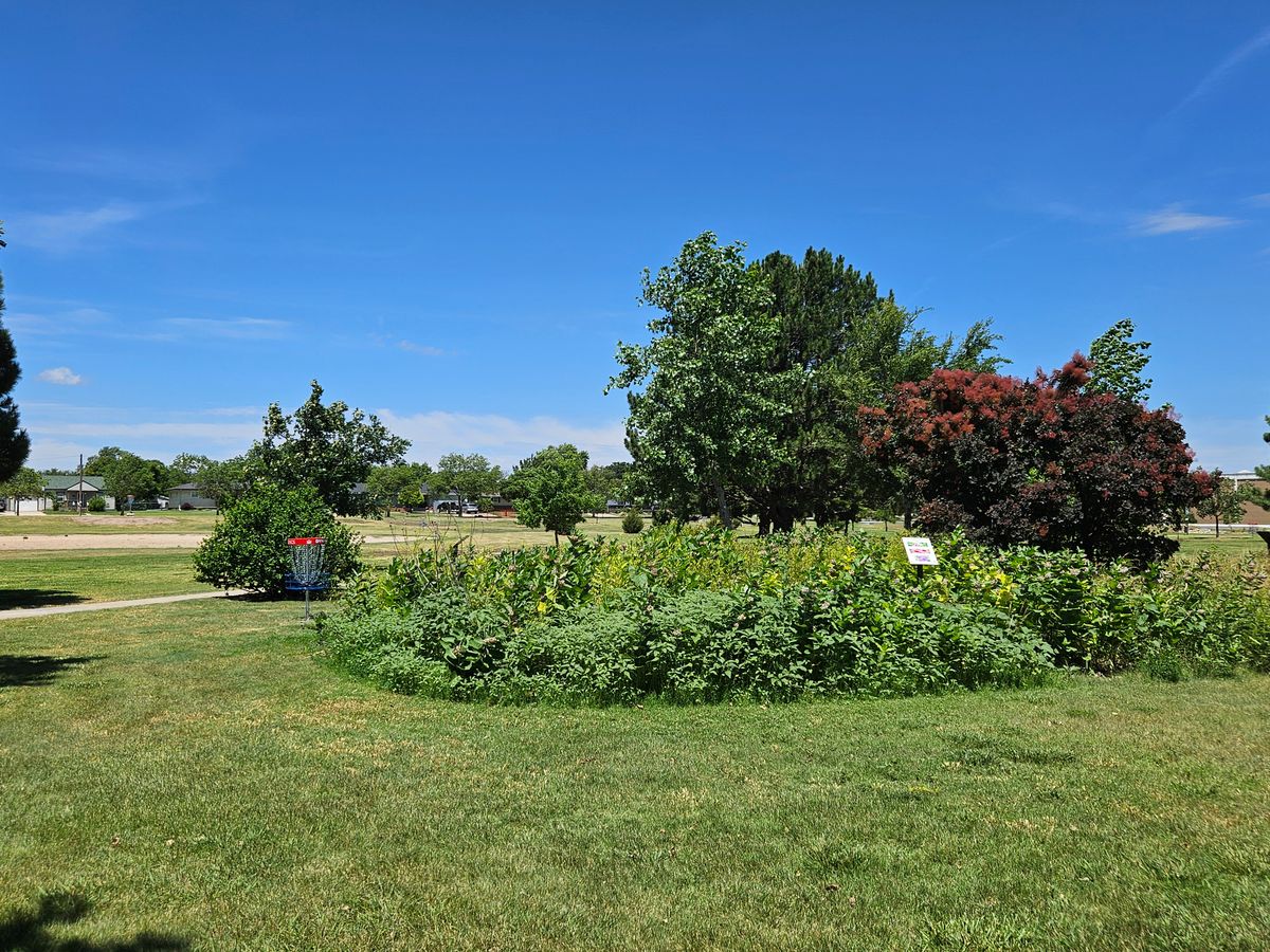 Hole 5 - Green