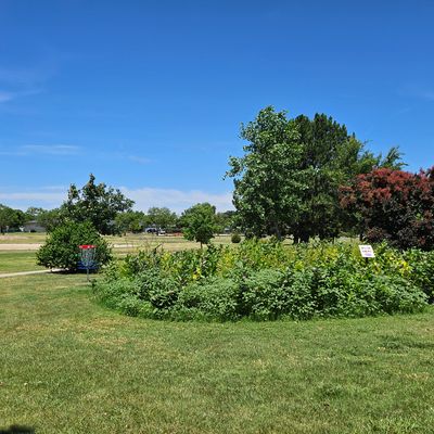 Hole 5 - Green