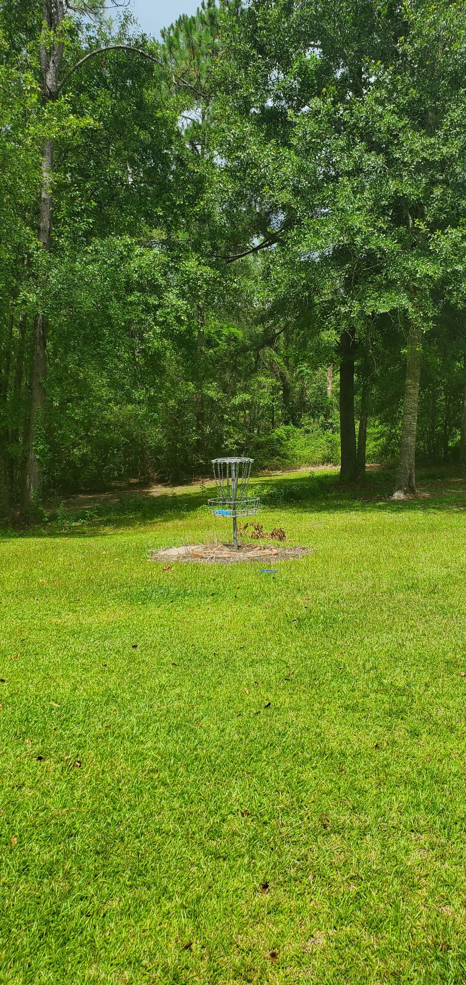 Hole #5