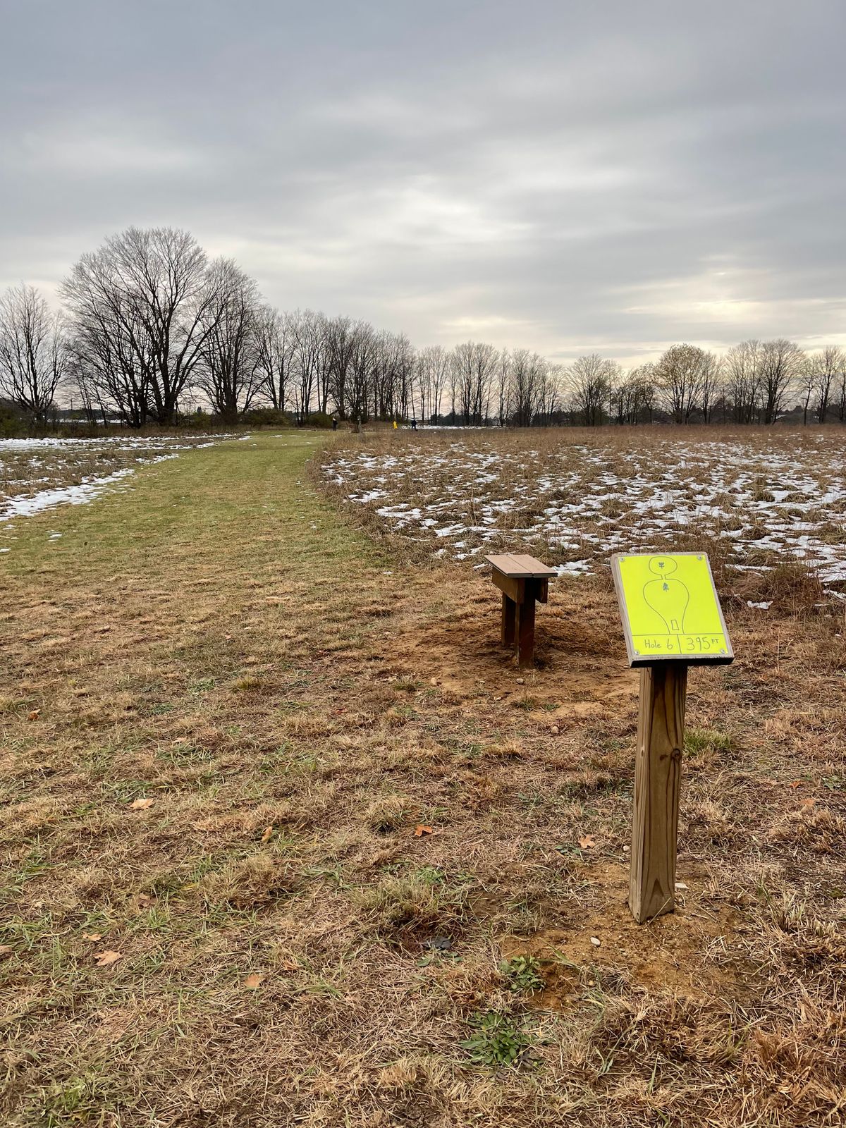 New #6 Tee location