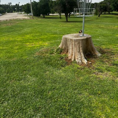 Hole 1 | Basket to Tee