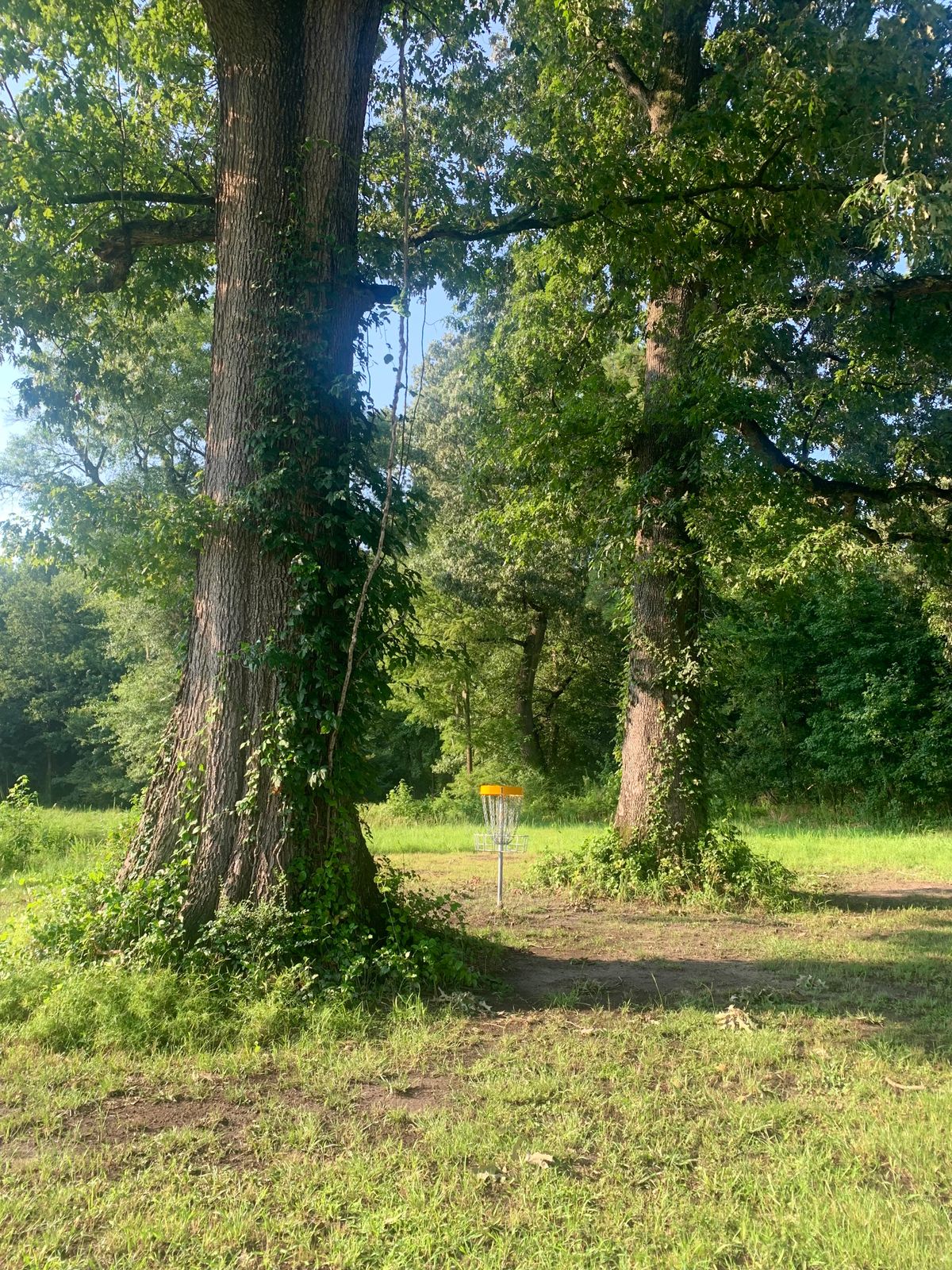 Hole 1 basket