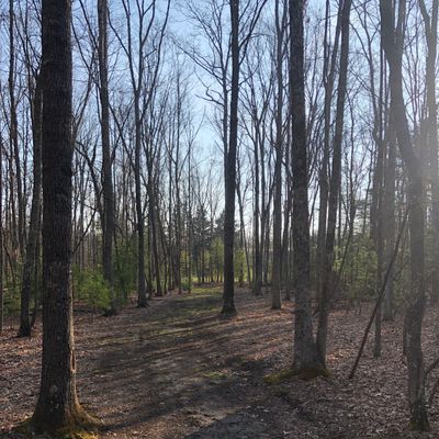 Hole 7