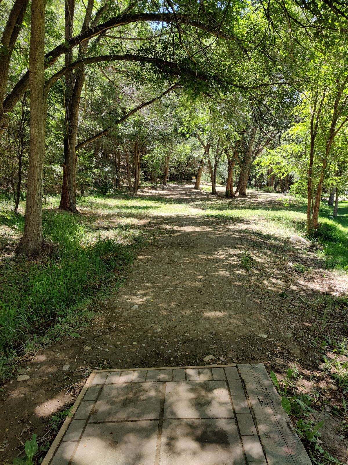 Hole 2