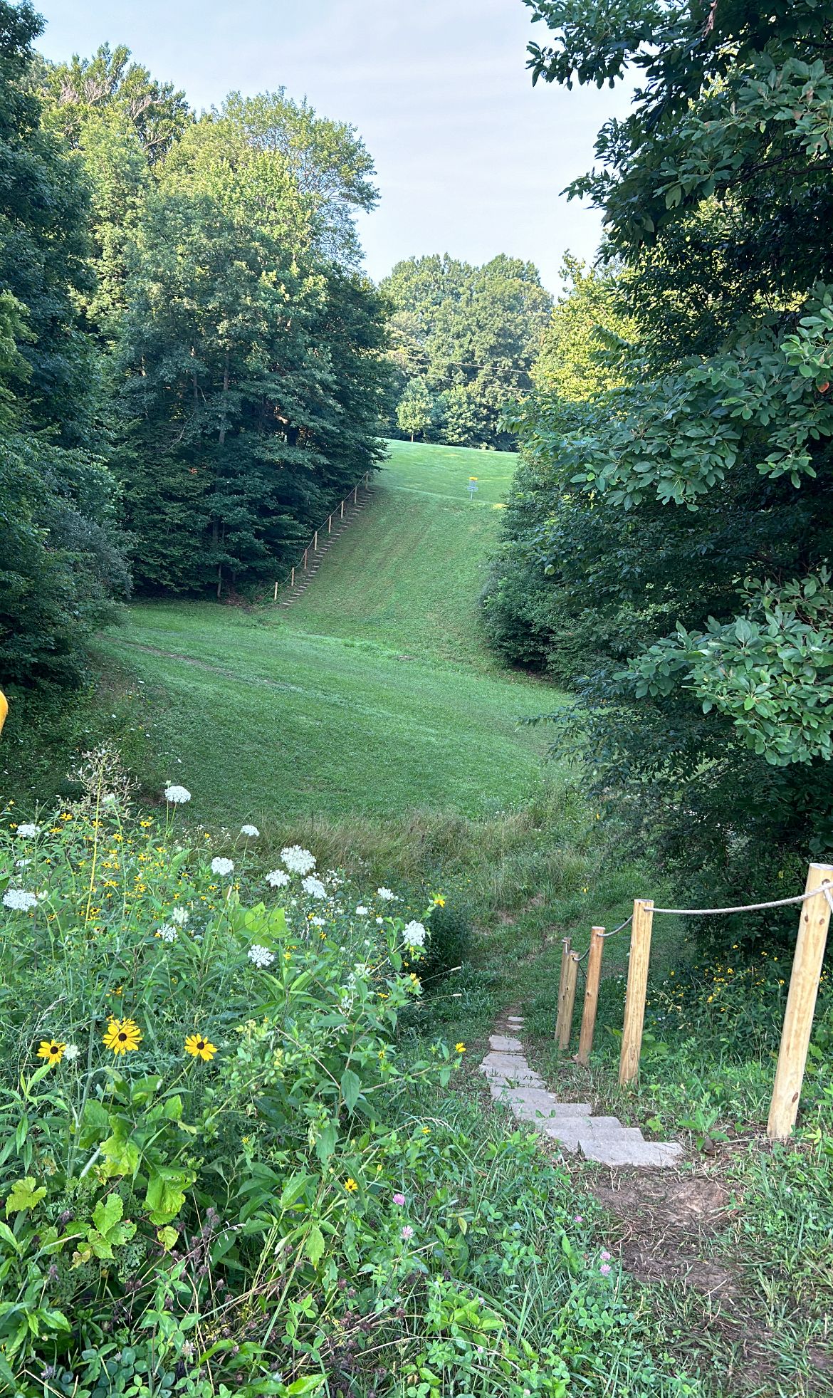 Hole 5