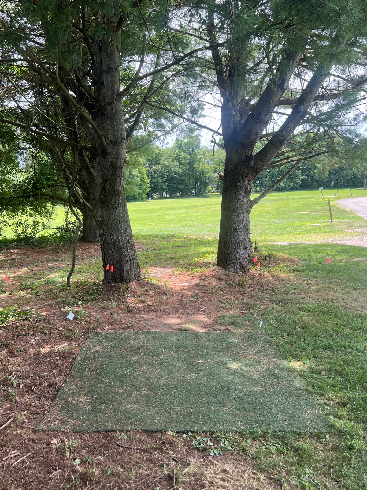 Tee, hole 3. Double mando straight, dogleg left par 4. OB long. 543'