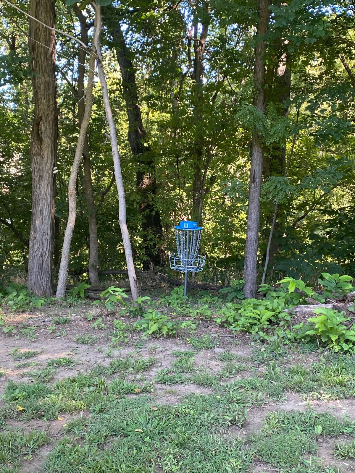 Basket 11 in B position