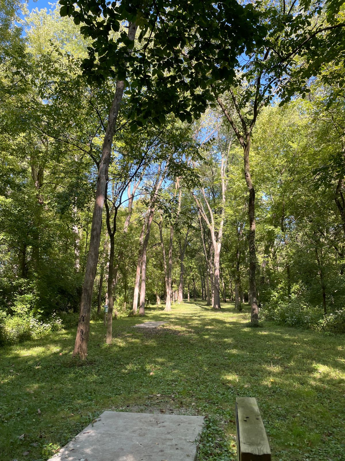 Hole 23 Gold
