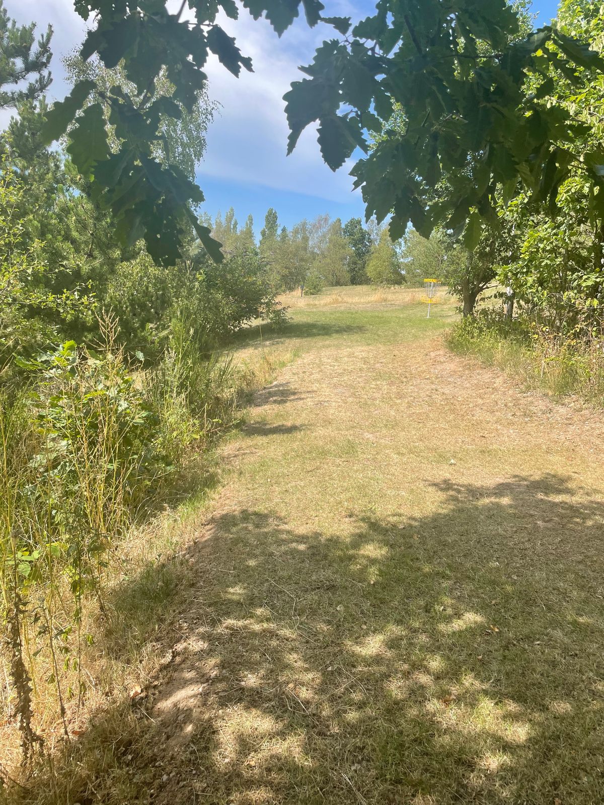 Hole 3 from Tee