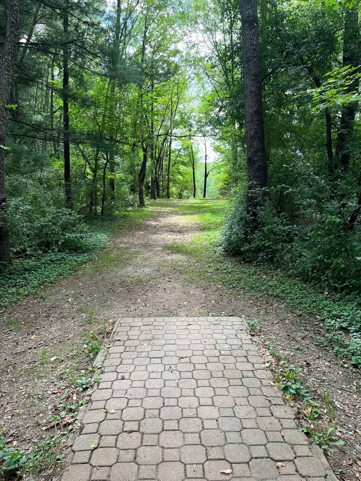 Hole 5