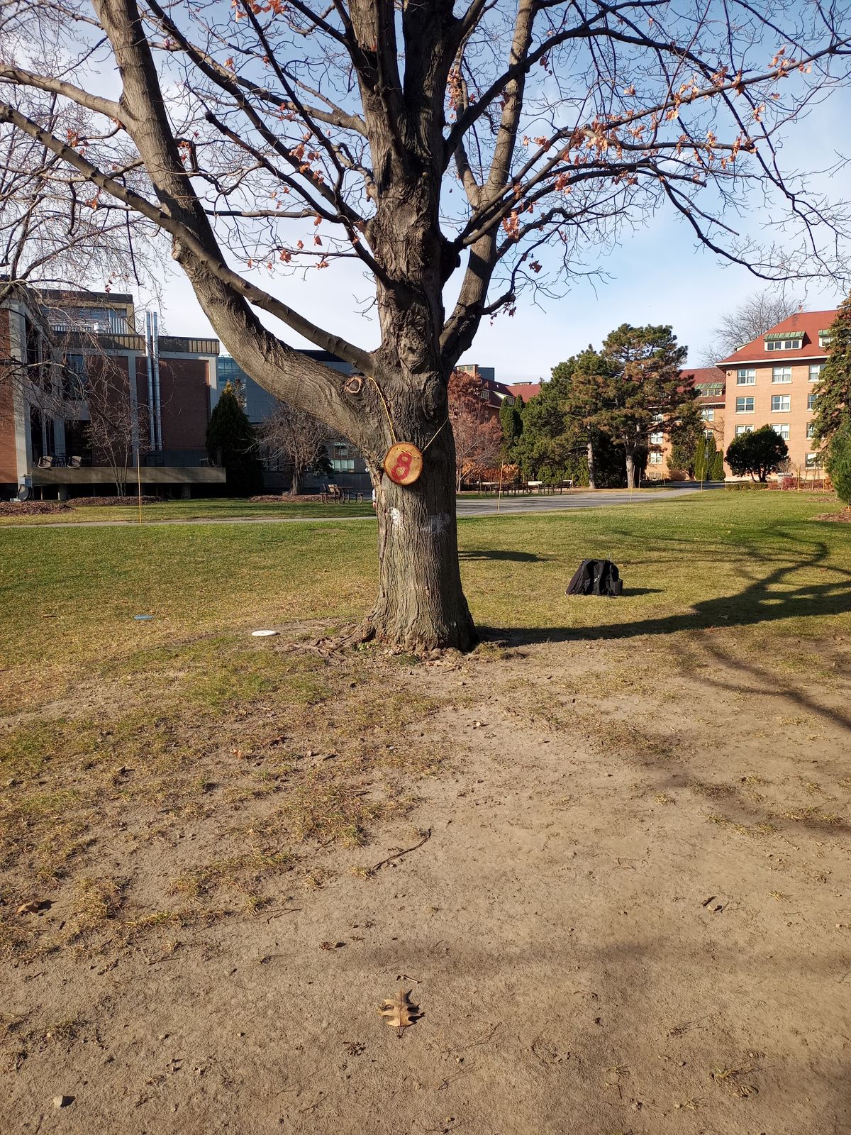 Hole 8 target
