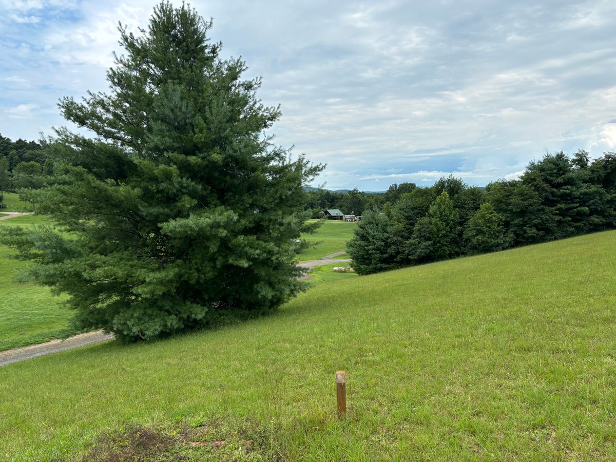 Hole 9