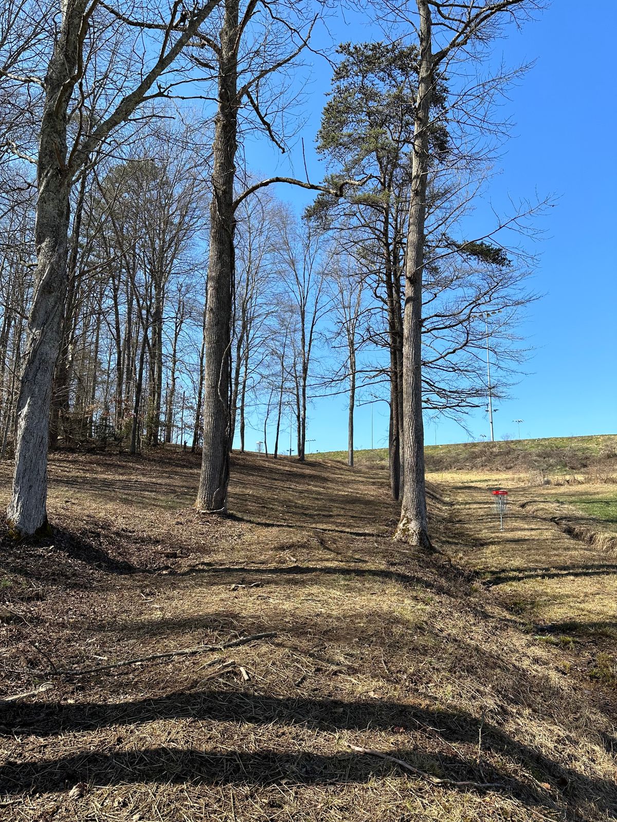 Hole 7