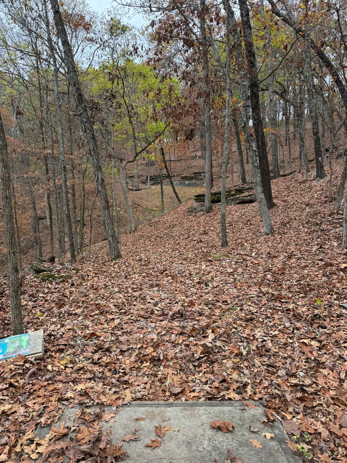 Hole 16 is super cool