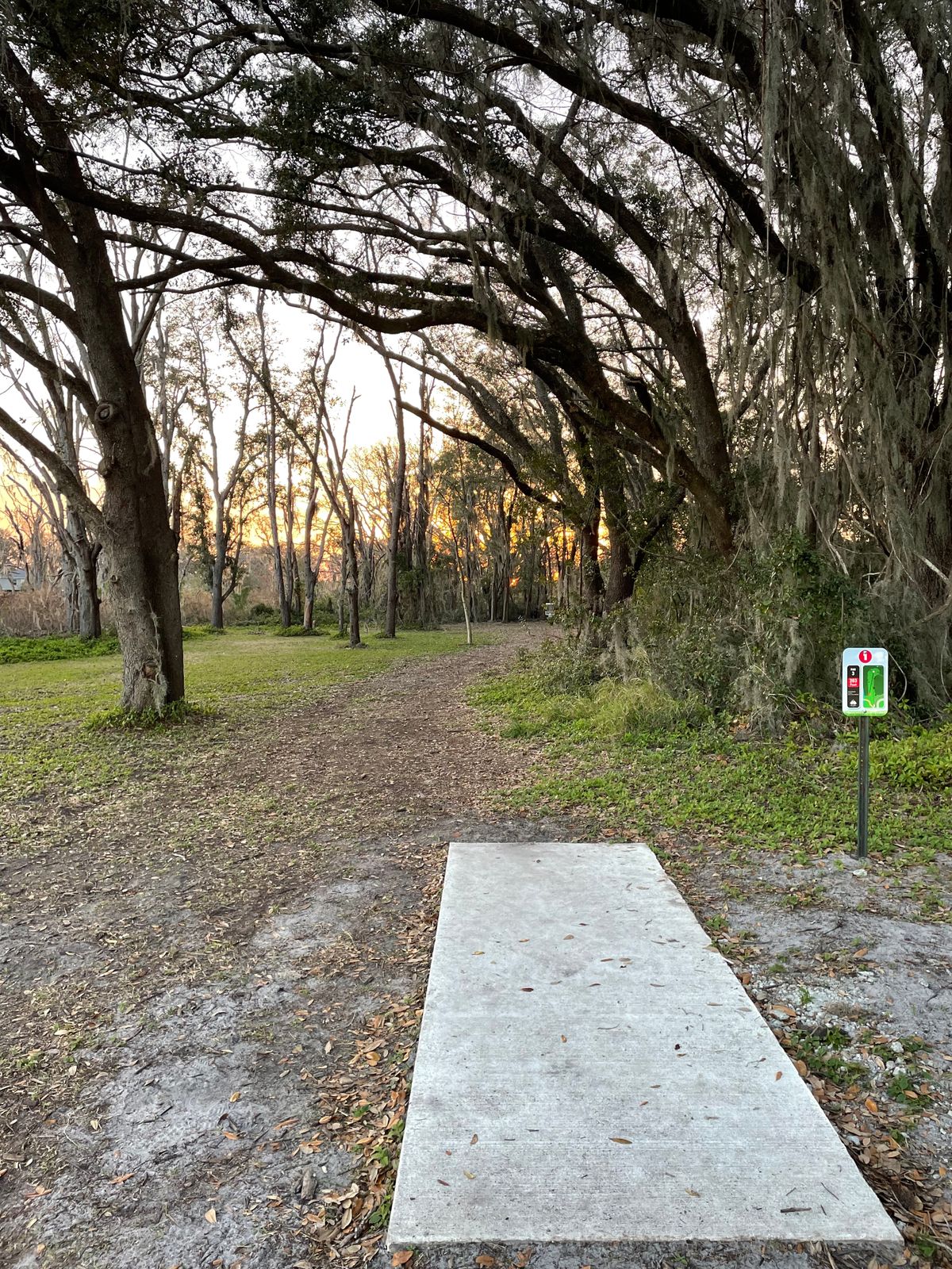 Tee 1