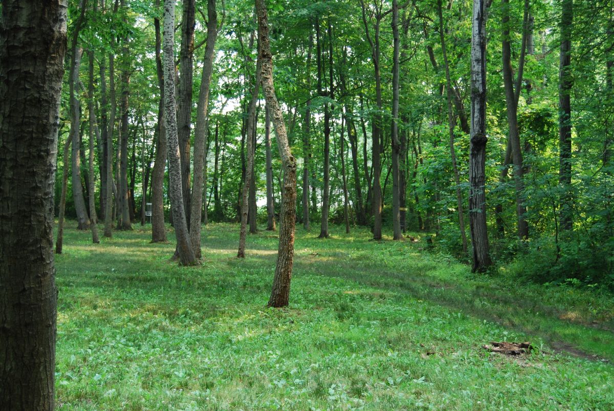 Hole 12 middle of the fairway looking at long and short pin positions