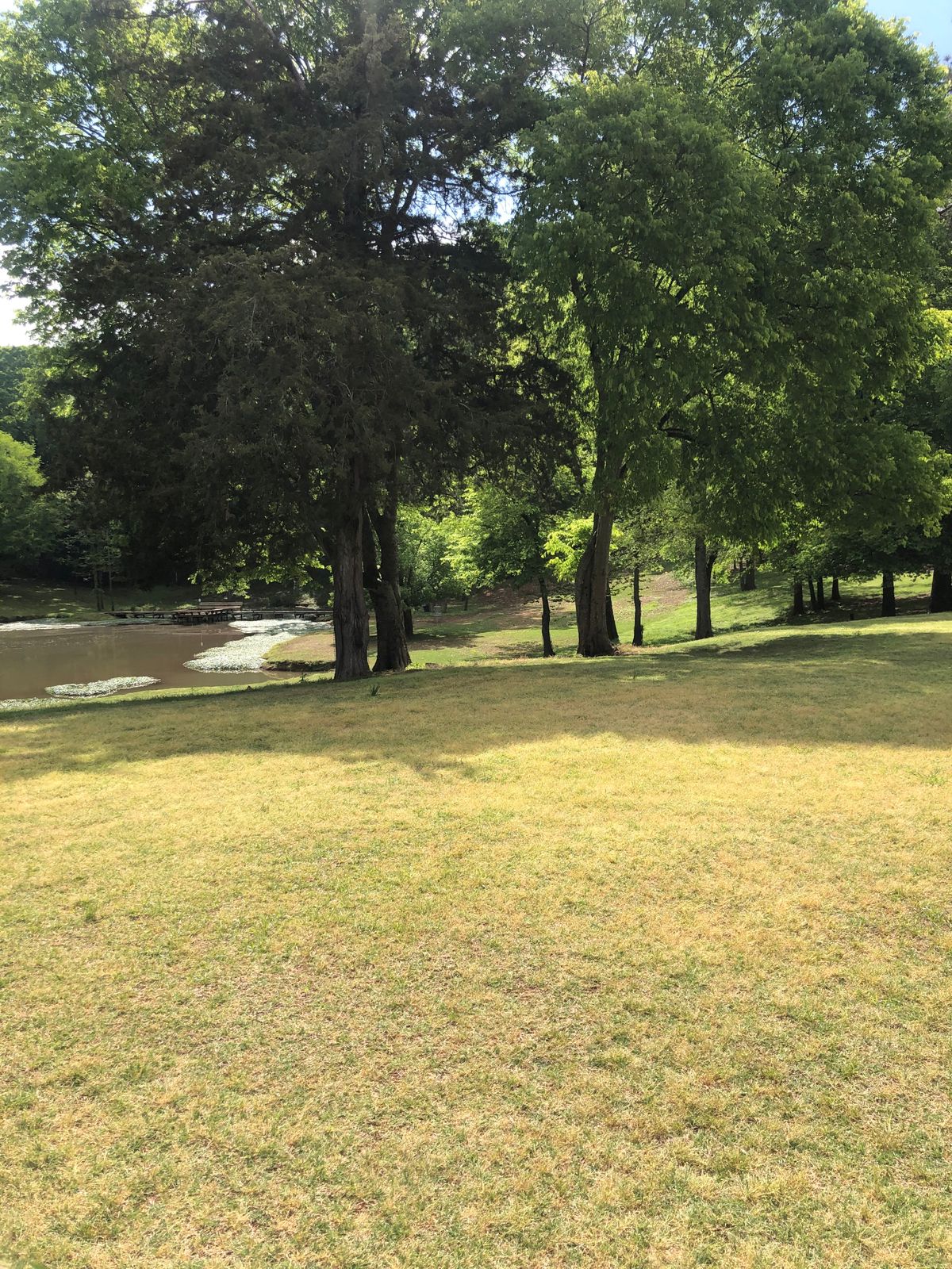 Hole 3