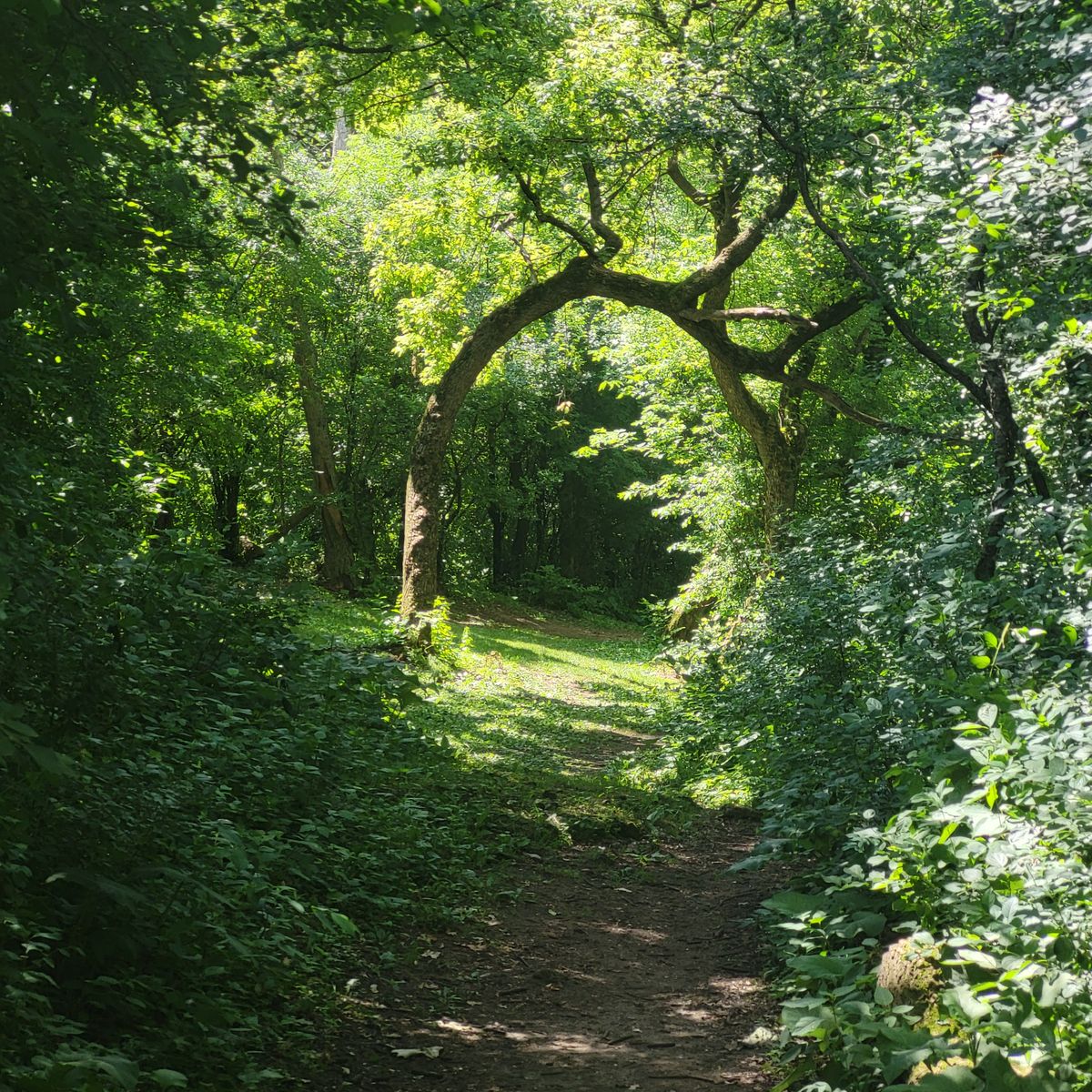 Hole 8