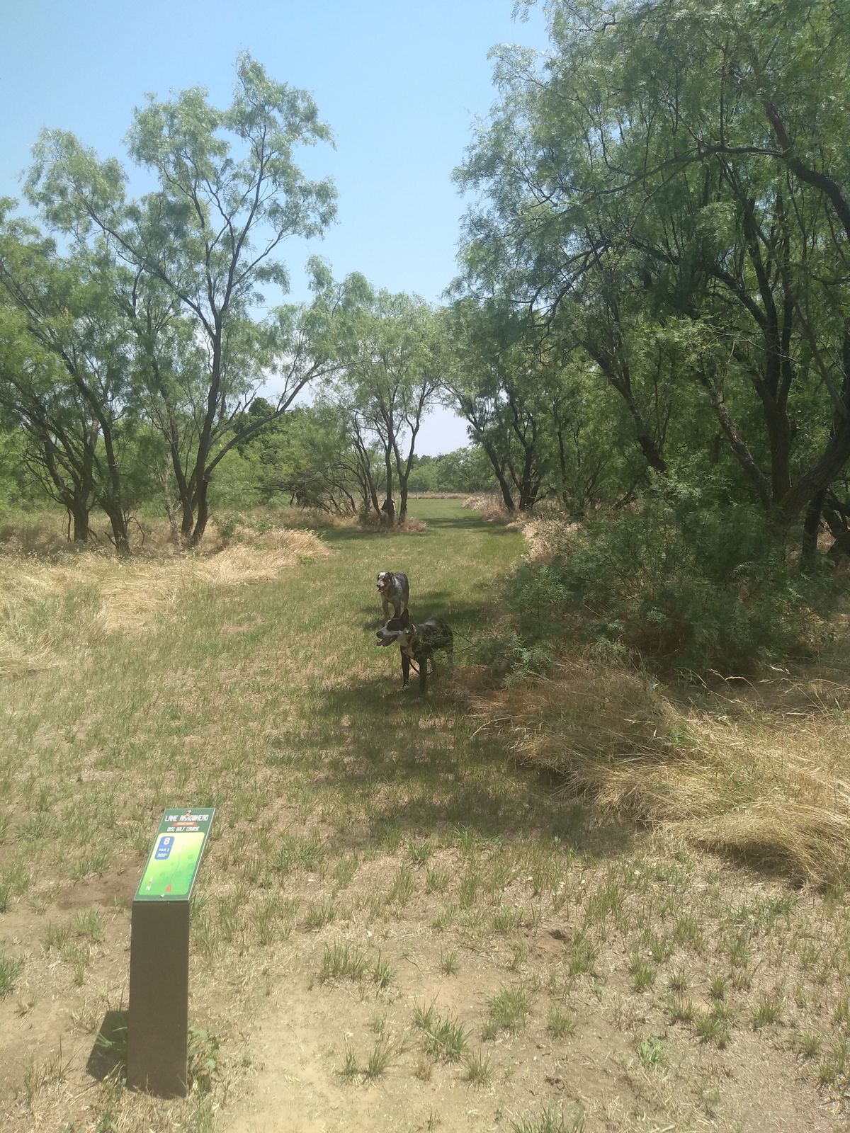 Hole 8