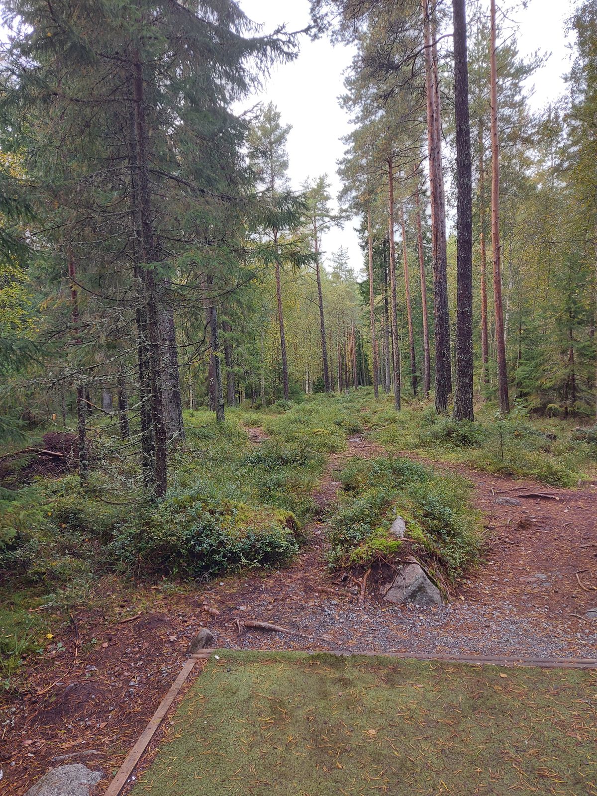 Väylä