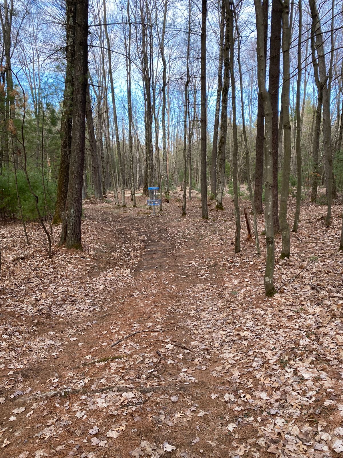 Hole 6 basket
