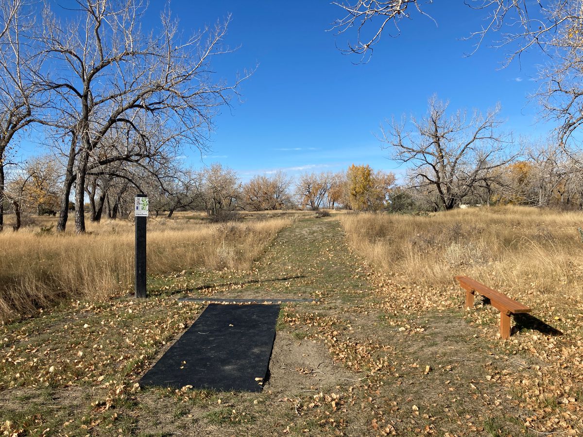 Hole 4 tee area