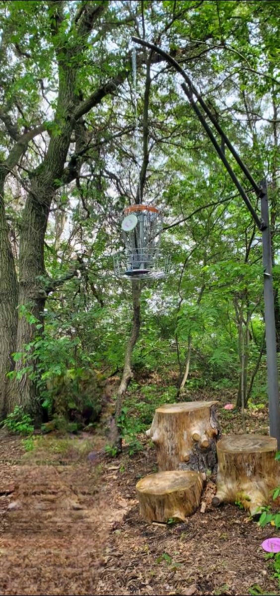 A fun suspended basket on hole 12, playing the short basket from the short tee.