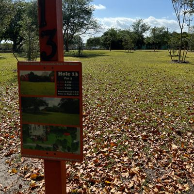 Hole 13 curves a little right basket between trees