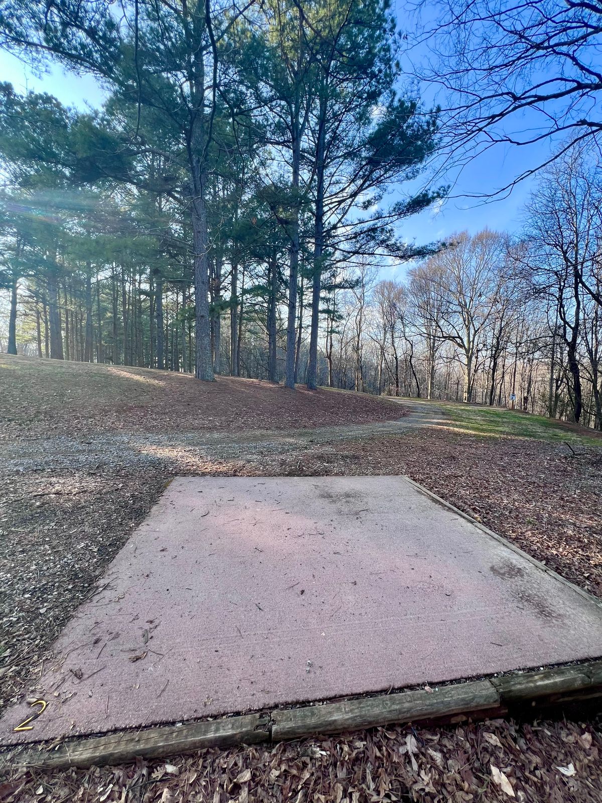 Hole 2 White/Gold Tee Pad.