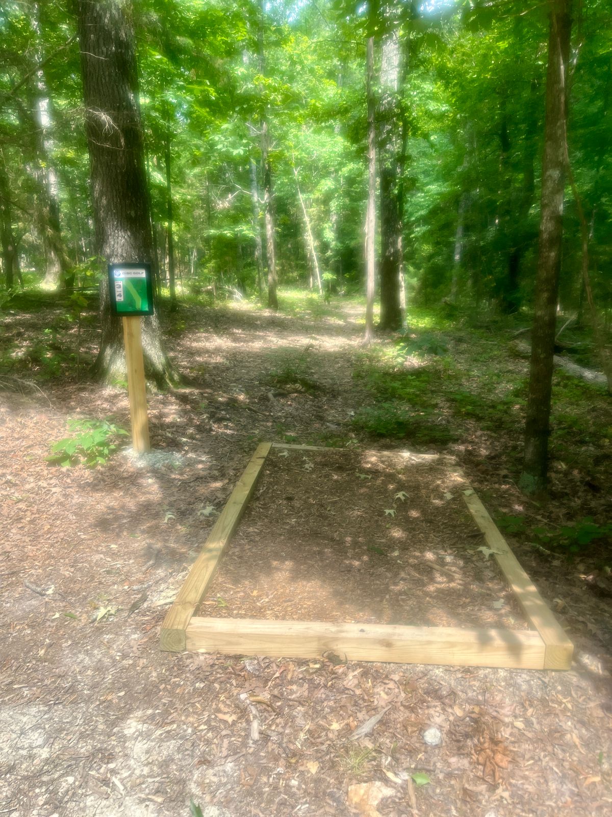 Hole 3 tee