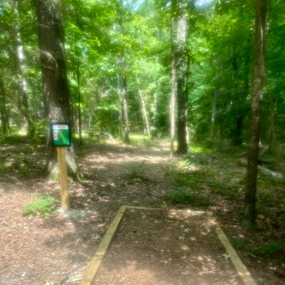 Hole 3 tee