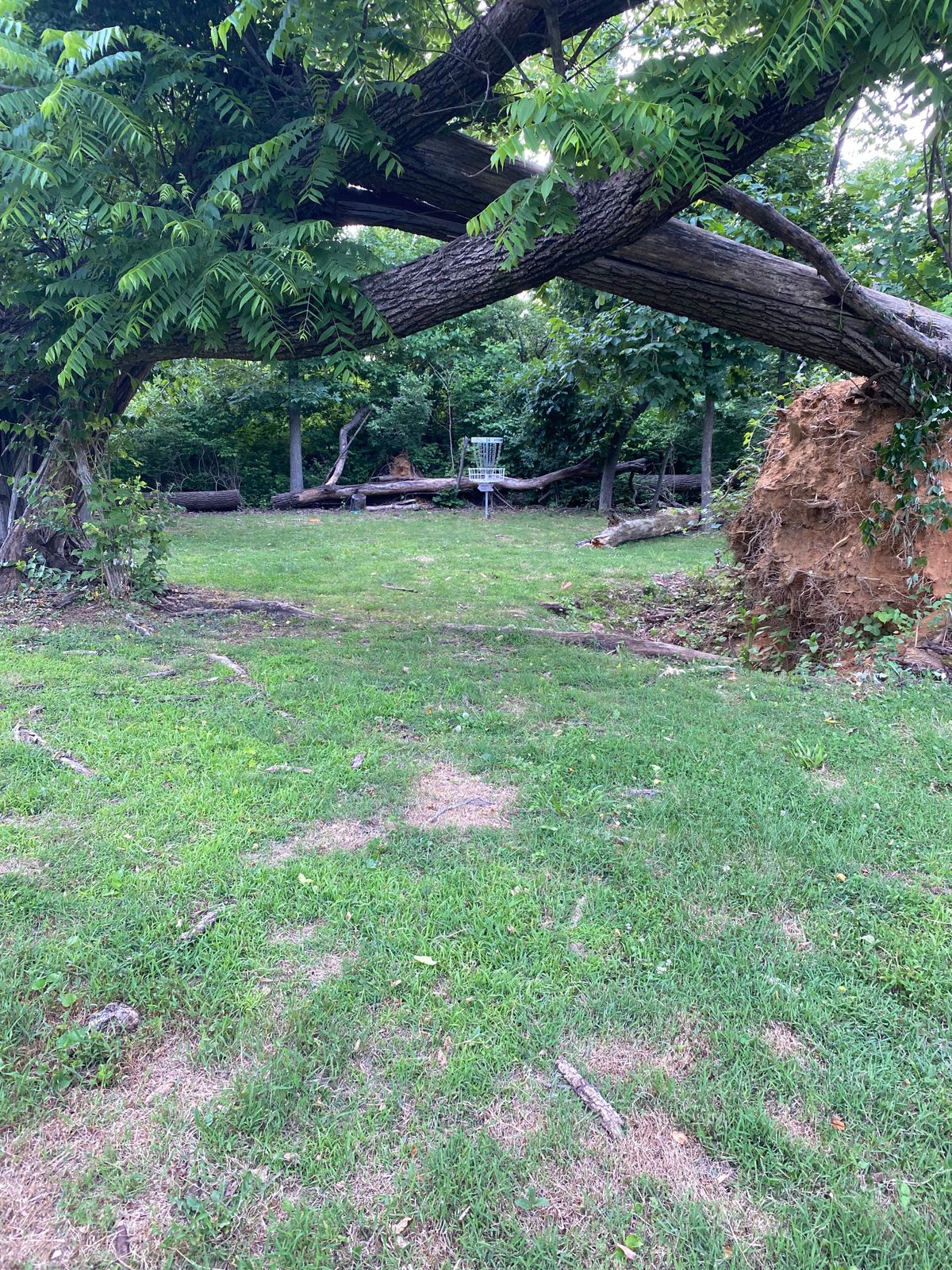 Hole 3