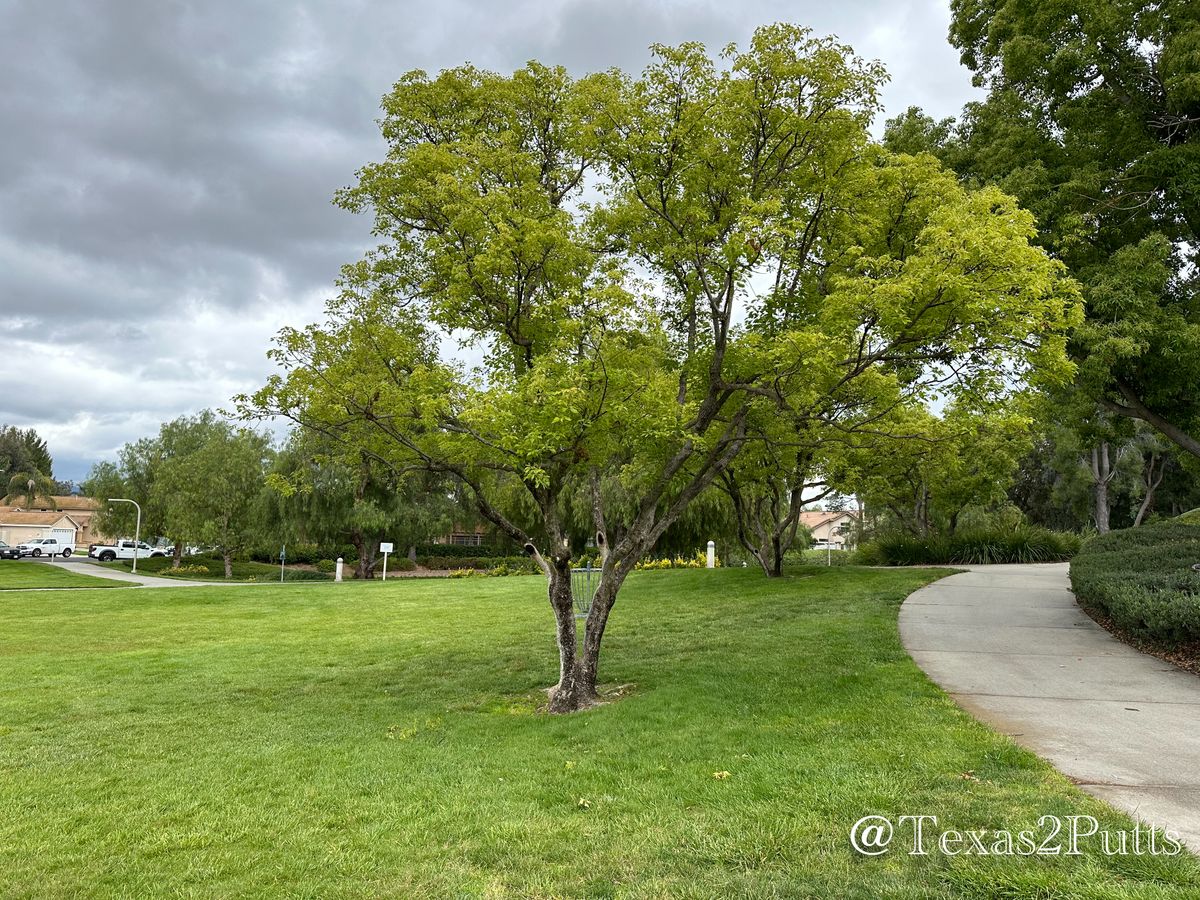 Hole 6