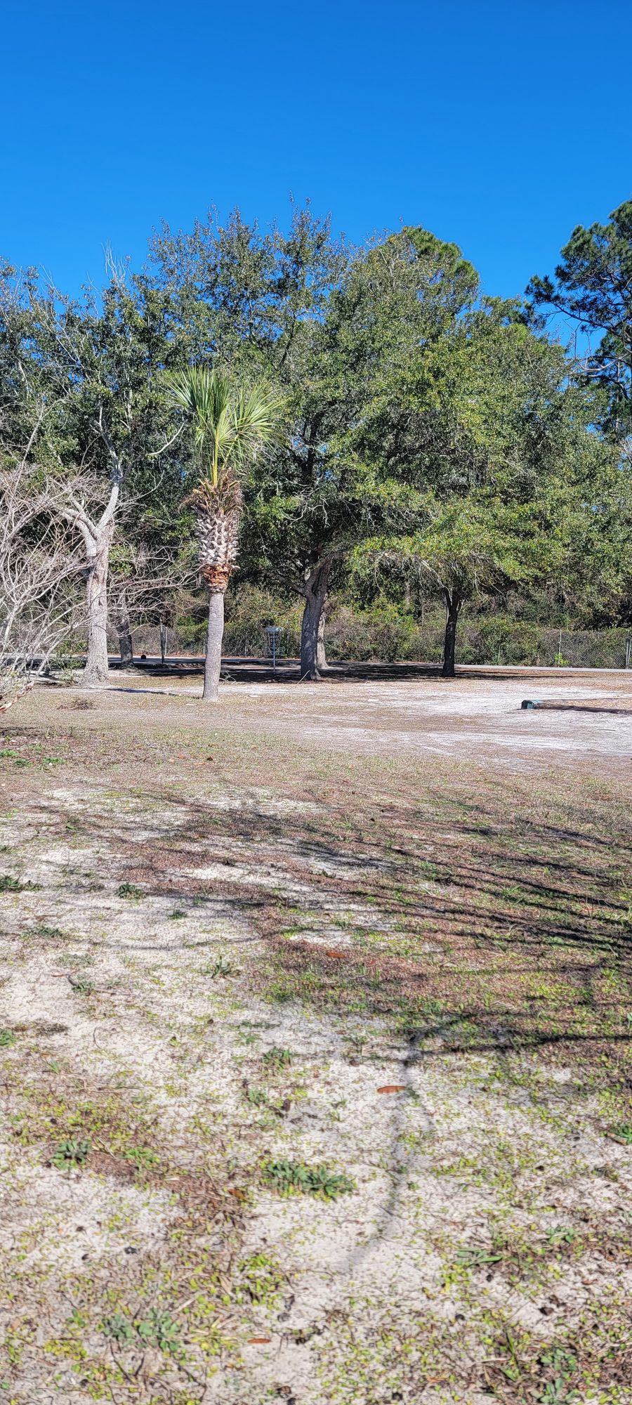 Hole 8 Spike Hyzer Entry