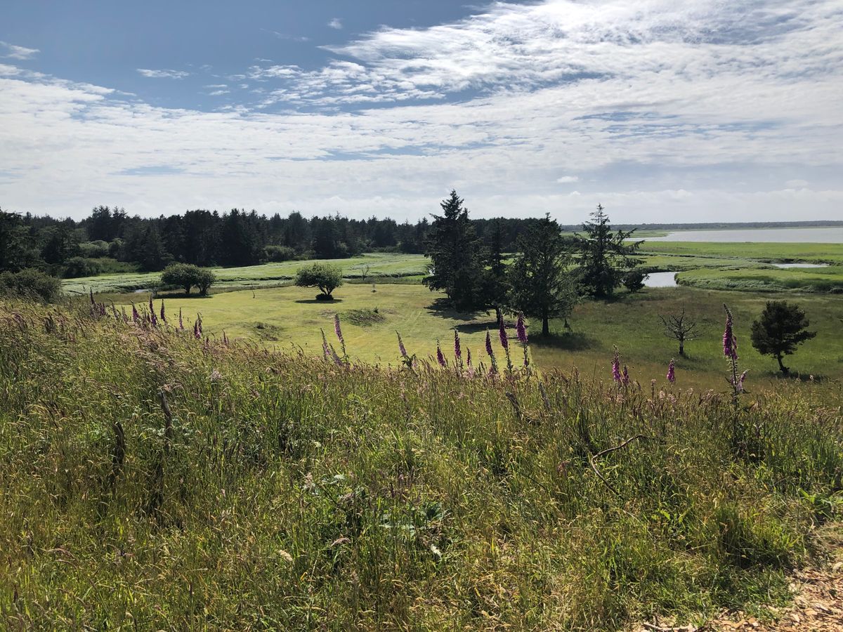 Hole 14 elevated tee with spectacular Columbia River views.