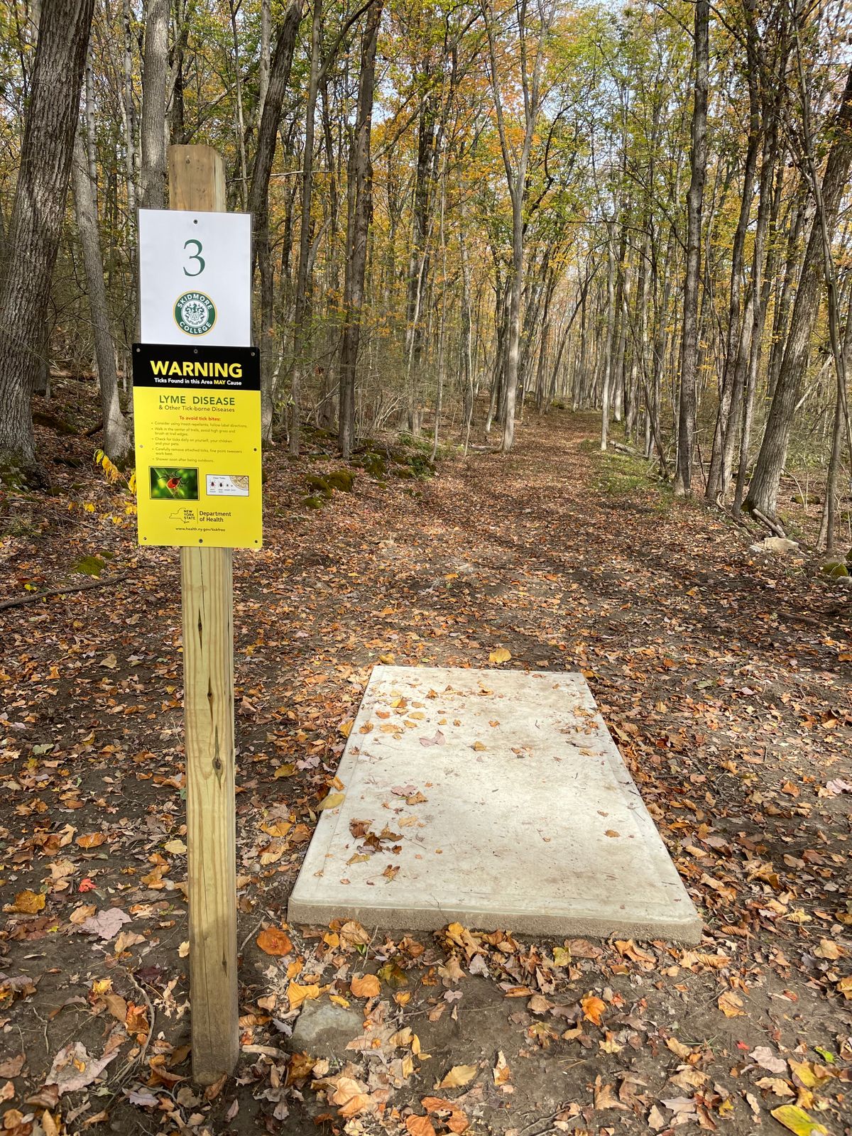 Hole 3 tee