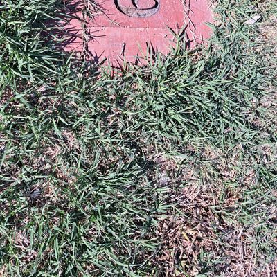 These are what the tee pads look like.